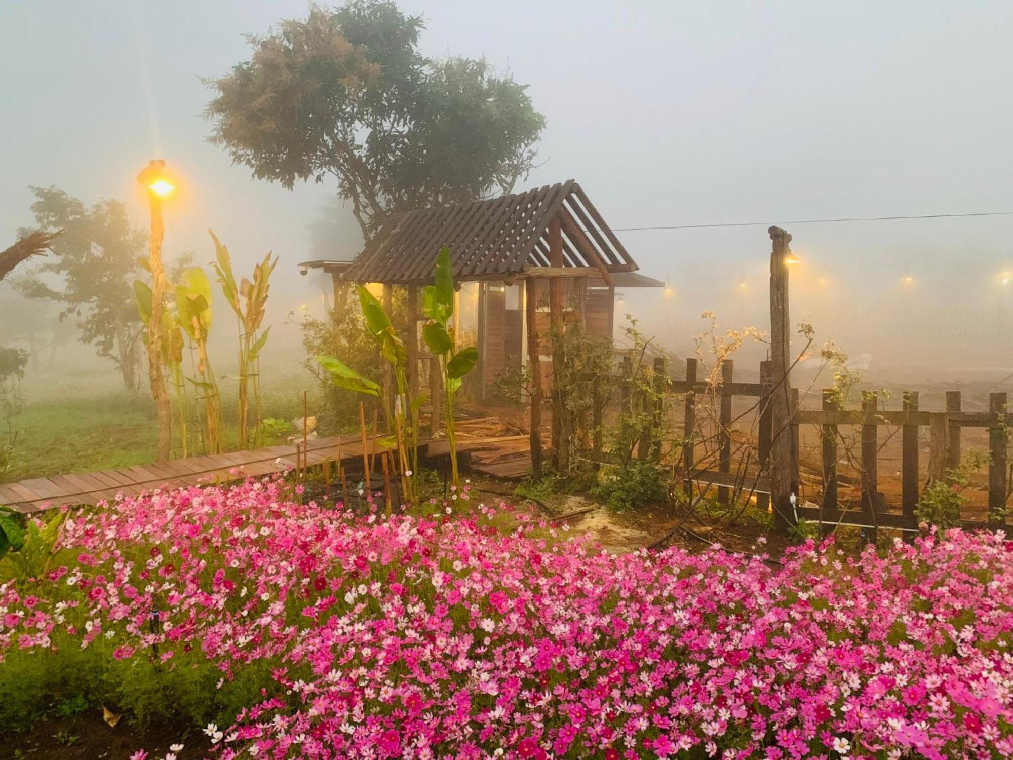Hotel Cai Gui Ta Dung à Bidong Extérieur photo